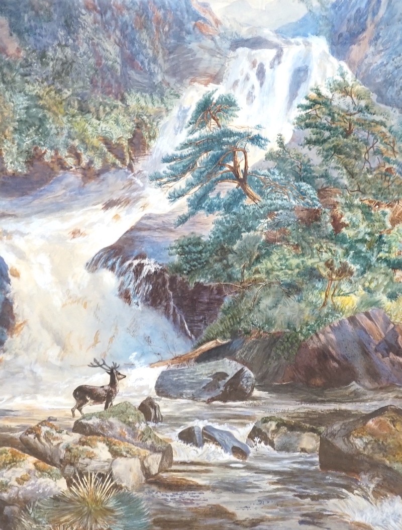 N. Gebherdt, watercolour, Stag beside a waterfall, signed, 57 x 43cm